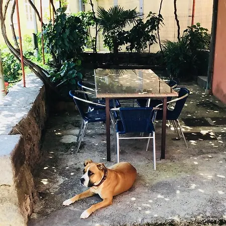 Apartament Thor